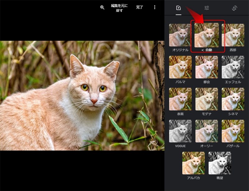 Googleフォトの使い方 編集機能で写真の見栄えをアップしよう Finderks Com